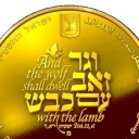 10 New Sheqalim