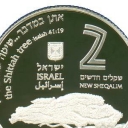 2 New Sheqalim