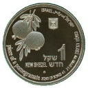 1 New Sheqel