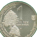 1 New Sheqel
