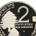 2 New Sheqalim