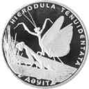 50 Tenge