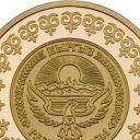 100 Som