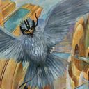 Beacon Hawk