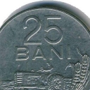 25 Bani